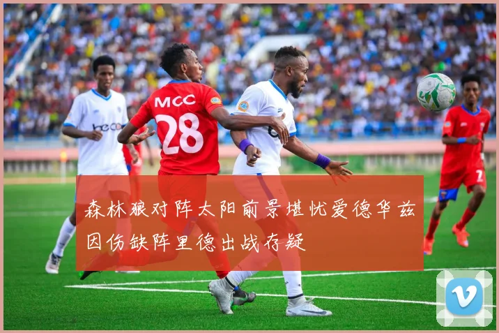 森林狼对阵太阳前景堪忧爱德华兹因伤缺阵里德出战存疑