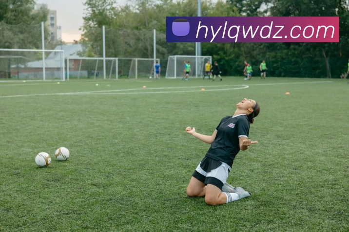 乐鱼APP 体育赛事宣传图